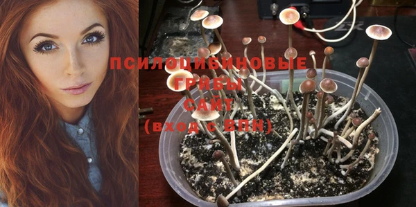прущие крисы Баксан