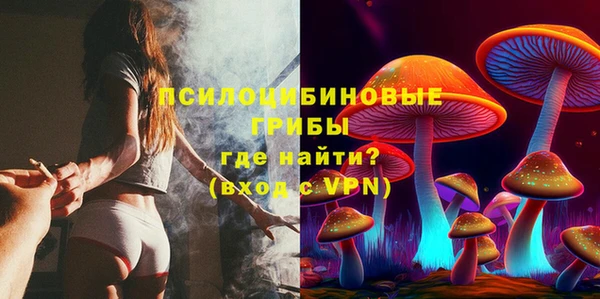 гашик Балабаново