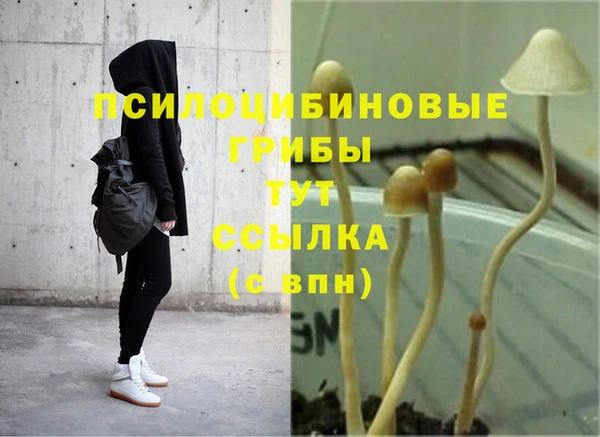 гашик Балабаново