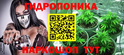 ECSTASY Камышлов