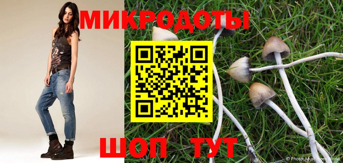 Псилоцибиновые грибы Magic Shrooms Корсаков