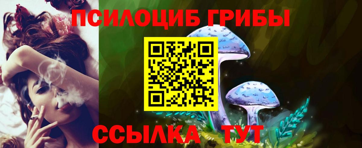 наркошоп  Вход с VPN  Корсаков  Псилоцибиновые грибы GOLDEN TEACHER 
